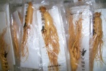 Nhập lậu sâm Hàn Quốc