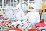 Công ty CP Thủy sản số 1 có TGĐ mới