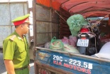 Thực phẩm bẩn ồ ạt về thủ đô