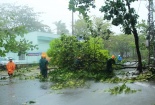 Cập nhật diễn biến bão số 11: Bão sắp suy yếu thành áp thấp