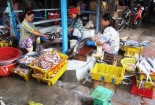Rùng mình chợ chế biến chả cá