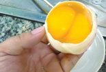 Trứng gia cầm lạ không có gì bất thường?