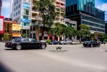 Ngắm cặp  Rolls-Royce Phantom Rồng dạo phố Sài Gòn