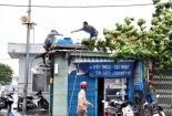3 người chết vì chống siêu bão số 14