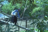 Bưu chính Viettel gia nhập 'câu lạc bộ nghìn tỷ'