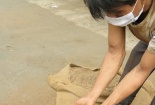 7 ngân hàng bị Công ty Trường Ngân qua mặt ở kho cà phê thế nào?