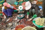 Kinh hãi cá, gà làm thịt ở chợ