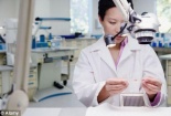 Đầu tư phát triển Khoa học công nghệ địa phương như thế nào?