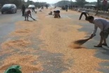 Người dân Đồng Nai tiếp tục 'hôi ngô' gây bất bình