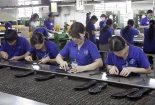 Doanh nghiệp tố Bộ Công thương trước Thủ tướng
