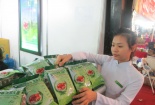 Bài thuốc quý từ cây Dường Nhân cứu người mang bệnh gan