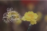 Bướm Tàu, bướm Việt