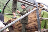 Hàng trăm cảnh sát bảo vệ gỗ sưa: Ăn chia tiền tỷ ra sao?