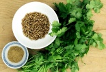 Bài thuốc hay chăm trẻ bị sởi