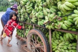 'Xây chợ để...nuôi bò'