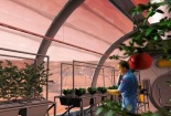 NASA sẽ trồng cây trên sao Hỏa