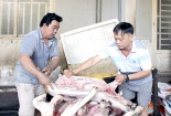 Lò mổ 'hóa phép' heo chết