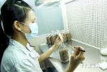 Người làm quản lý quyết định số mệnh của nhà khoa học.