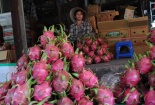 Hàng Trung Quốc ế vì chất lượng kém