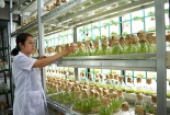 Công nghệ nano trong việc cải tiến năng suất nông nghiệp 