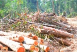 Giám đốc Công an tỉnh Đắk Nông bị yêu cầu nghiêm túc kiểm điểm