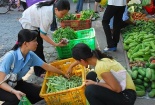 Mổ xẻ nghịch lý lương tối thiểu-đời sống thật
