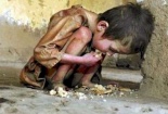 Đẩy mạnh chất lượng lương thực ở các nước đang phát triển