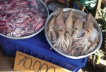 “Hô biến” mực lạ không đầu thành mực Phan Thiết, Nha Trang giá “bèo“
