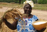 Kinh nghiệm cải thiện năng suất nông nghiệp ở Uganda