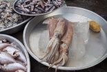 Mực siêu rẻ là hàng dạt nhập khẩu?