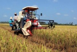 Phát triển đi đôi với nâng cao năng suất mới bền vững