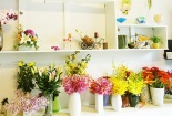 10 triệu đồng nên kinh doanh hoa tươi như thế nào?