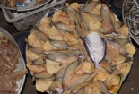 Cá khô nhập khẩu bẩn gây ngộ độc