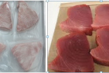 Cá ngừ Việt Nam có thể làm món sashimi nhờ công nghệ bảo quản CAS