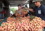 Đã có cửa 'thoát' Trung, nông sản Việt đừng chỉ 'hớt váng'!