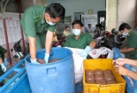 Hãi hùng tiết bẩn bốc mùi hôi thối