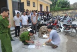 Đột kích sới gà 'khủng' ở Hải Dương