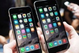 Nên chọn mua iPhone 6 hay iPhone 6 Plus ?