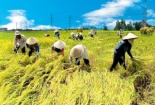 Người Việt cần cù... không hiệu quả: Cắt hết 'công chức ma' 