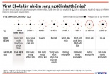 Việt Nam xét nghiệm Ebola như nào?