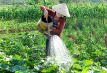 Những tỷ phú nông dân bày cách thành công