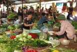Ế thảm vì bị nghi…rau Trung Quốc!