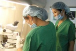 Mua bán trứng phụ nữ và những hệ lụy khó lường