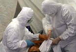 Thông tin mới nhất về nghi vấn ca nhiễm Ebola đầu tiên xuất hiện ở Đà Nẵng