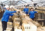Năng suất lao động Việt Nam: Bức tranh màu xám