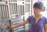 Cục trưởng phòng chống tham nhũng Trung Quốc bị đình chỉ công tác vì ngoại tình