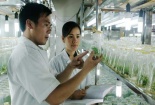 Nhiều rào cản trong việc cấp chứng nhận doanh nghiệp KH&CN