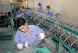 Doanh nghiệp Hà Nội hướng vào mô hình hoàn hảo của Giải thưởng Chất lượng Quốc gia