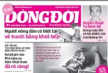 Thu hồi giấy phép ấn phẩm 'Dòng đời' của báo Nông thôn Ngày nay