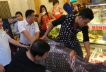 Đua nhau mua cá 'khủng'